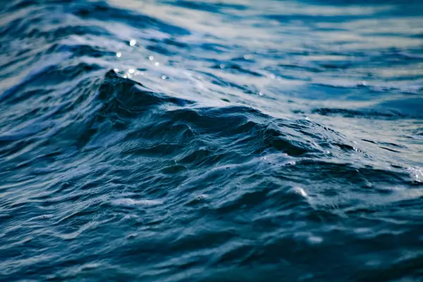 Notas oceânicas: elegância e leveza