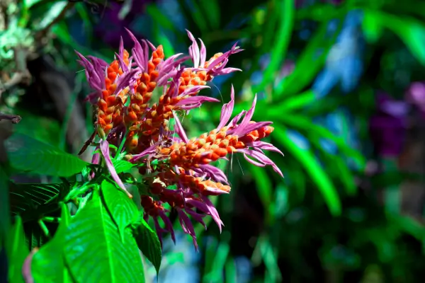 Perfumes de nicho femininos inspirados em jardins exóticos