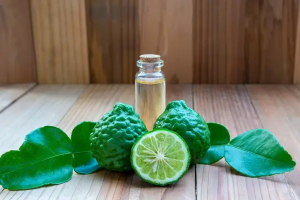 Notas cítricas em perfumes masculinos de nicho: refrescância e estilo